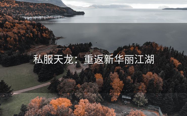 私服天龙：重返新华丽江湖