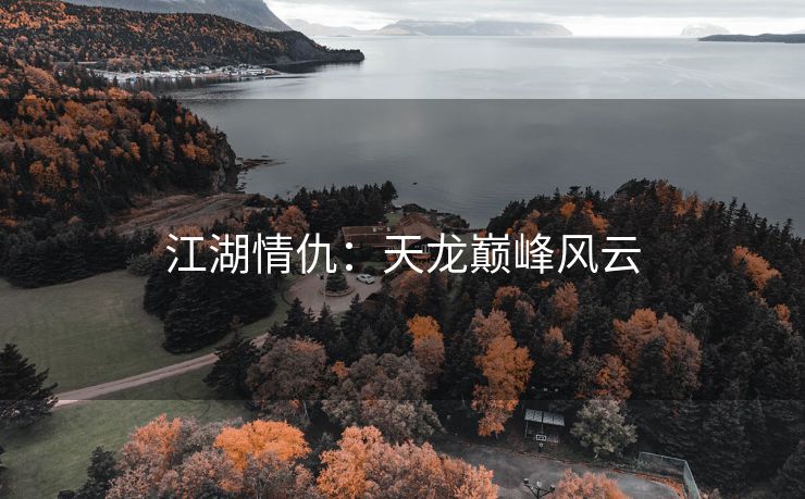 江湖情仇：天龙巅峰风云