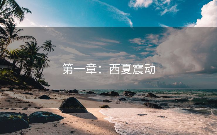 第一章：西夏震动