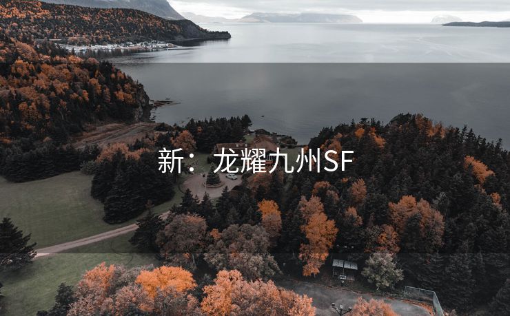 新：龙耀九州SF