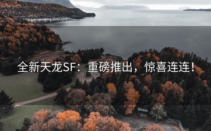 全新天龙SF：重磅推出，惊喜连连！