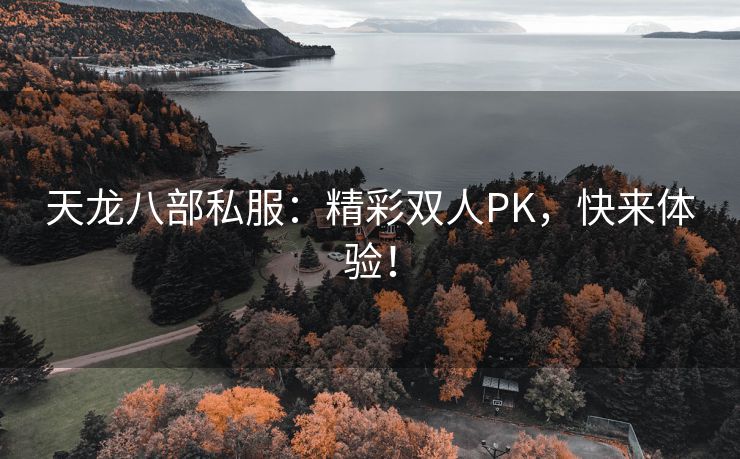 天龙八部私服：精彩双人PK，快来体验！