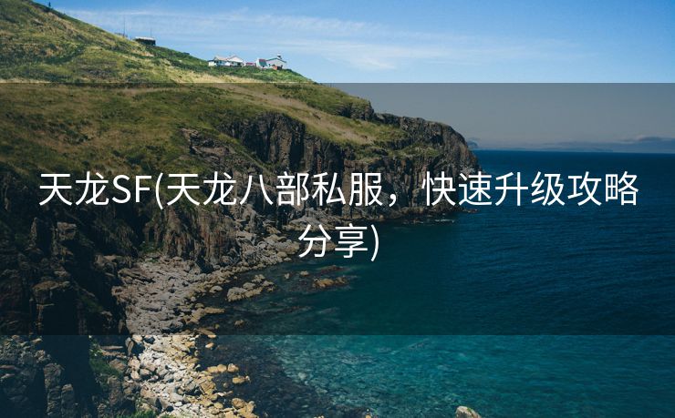 天龙SF(天龙八部私服，快速升级攻略分享)