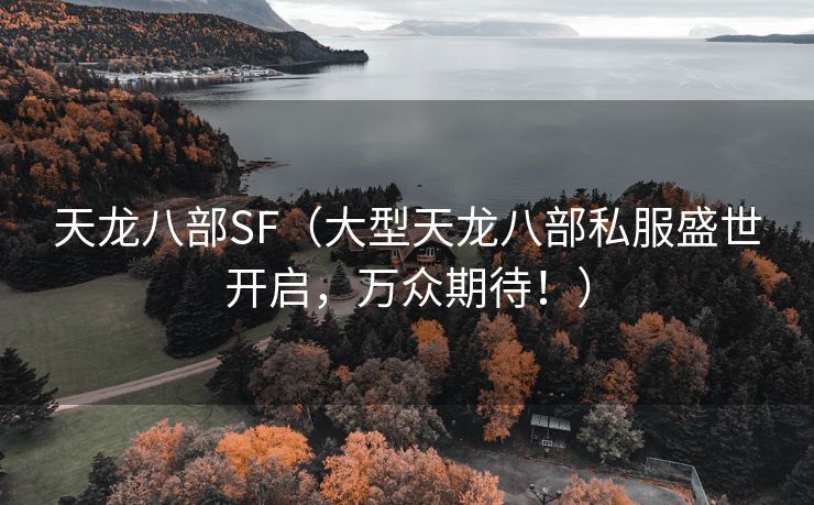 天龙八部SF（大型天龙八部私服盛世开启，万众期待！）