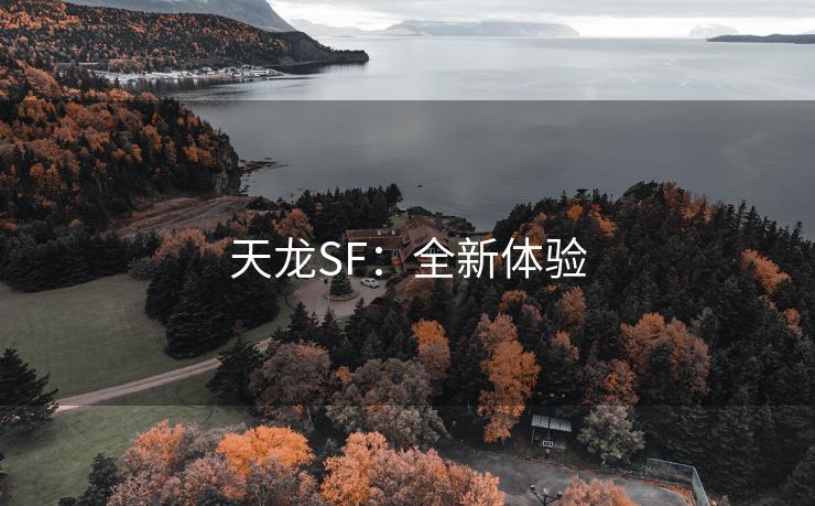 天龙SF：全新体验